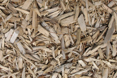 biomass boilers Maryton
